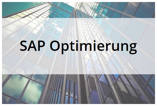 SAP Optimierung