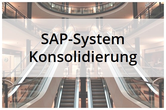 Prozessabgleich auf Basis der tatsächlichen Nutzung zur Unterstützung der SAP-System Konsolidierung
